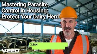 Mastering Parasite Control in Housing: Protect Your Dairy Herd