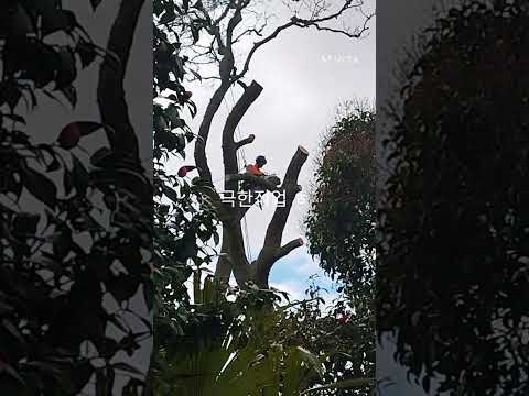 올라 가기도 힘든데 ㅎ