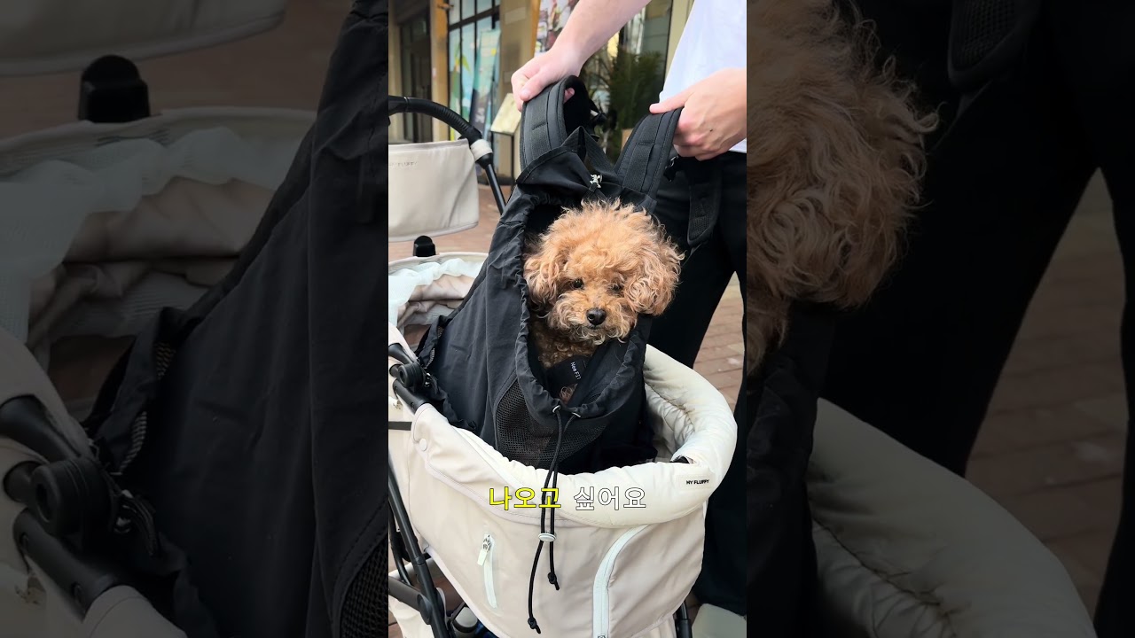 Пойдём в кафе! 