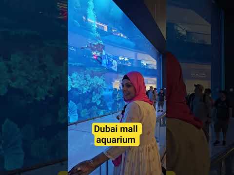 Dubai mall aquarium #dubai #shorts