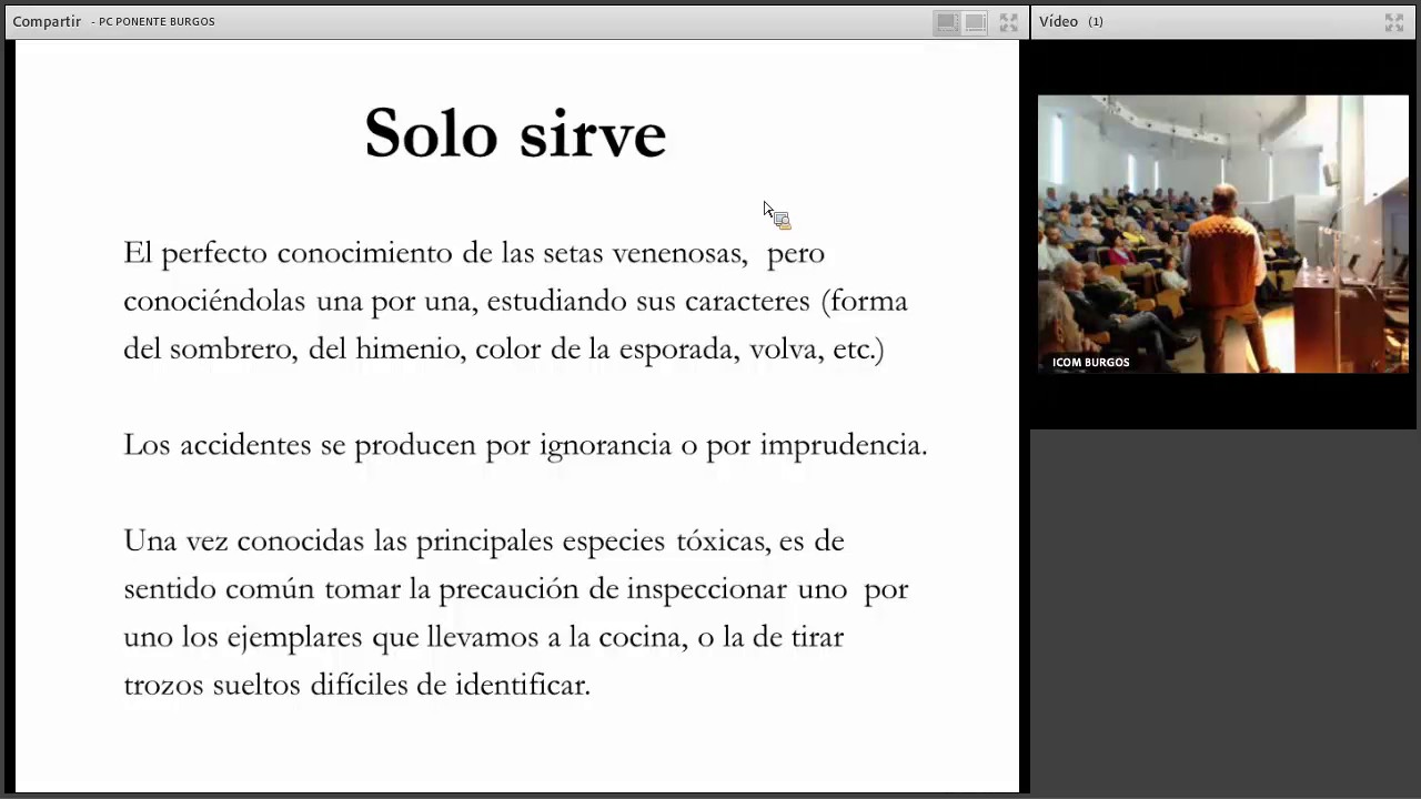 SETAS TOXICAS DE BURGOS  POSIBLES CONFUSIONES
