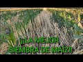 AGRICULTURA DE CONSERVACIÓN (NUNCA QUEMES TUS RASTROJOS)