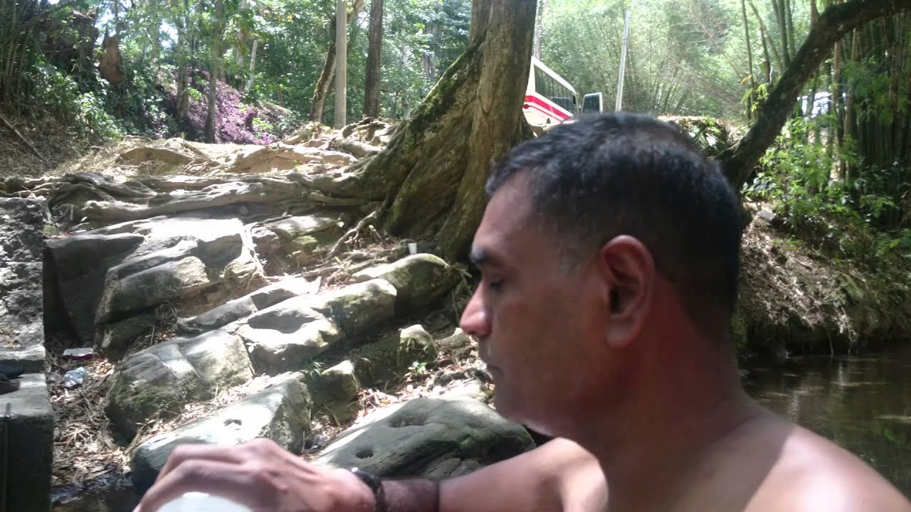 Caura River Trinidad & Tobago YouTube