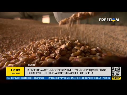 Запрет на импорт украинского зерна: какие страны отказались от продовольствия Украины