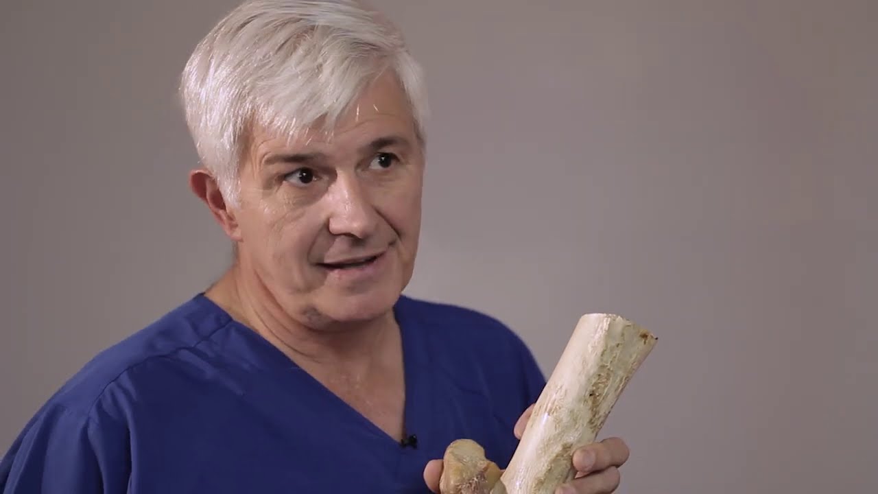 Enganche rotuliano - Parte 1