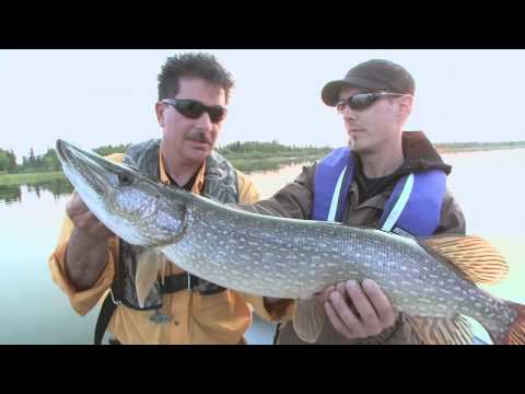 Fliegenfischen - Nordwest-Territorien, Kanada by Entdecke Kanada - Deutschland