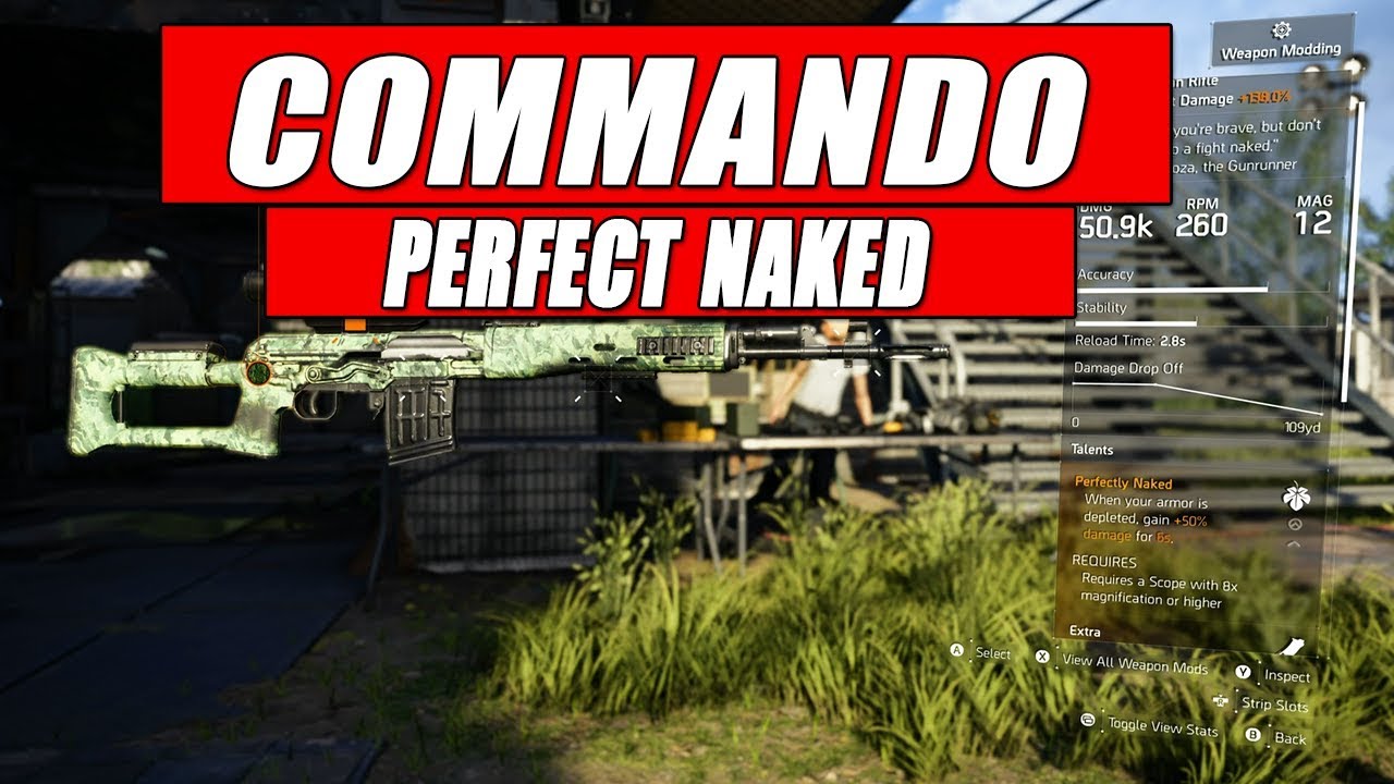 The Division 2 - Commando SVD ( Perfect Naked SVD TU6)