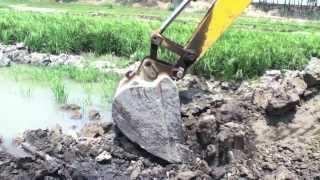Valuable topsoil removed from farmlands, Bogra, Bangladesh