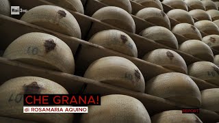 Che Grana! - Report 03/01/2022