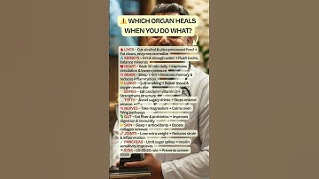 Which Organ Heals When You Do What? | Doctor-Approved Guide for Adults Over 50