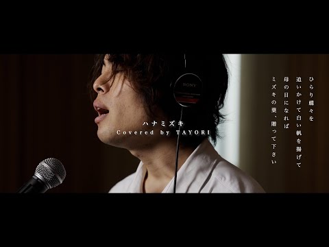 TAYORI - ハナミズキ / 一青窈 | Cover Music Video【Studio Live Edition】