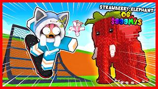 Atun  Momon Ride Skateboards To Get Rare Brainrot Roblox