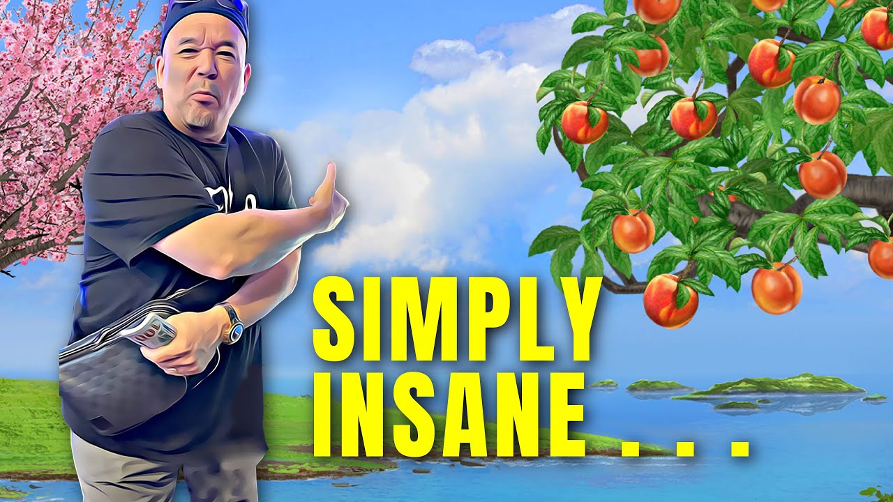 This epic bonus run on Peace and Long Life Dragon Link must be seen!