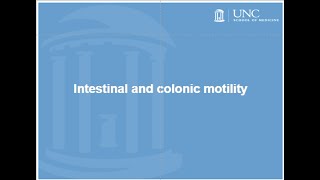 Intestinal and colonic motility