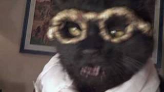 Celebrity Feline Numerologist - Cornerstone "B", "K", & "T" - Barack Obama Profile