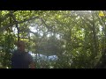 Homicide Suspect Hides In Tree Then Reaches For Gun