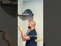 How to Properly Train Your Cat #funnycats #catlovers #funnyvideo #funny