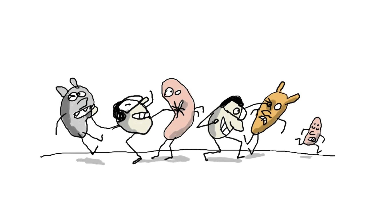 A quoi sert un vaccin ? - 1 jour, 1 question