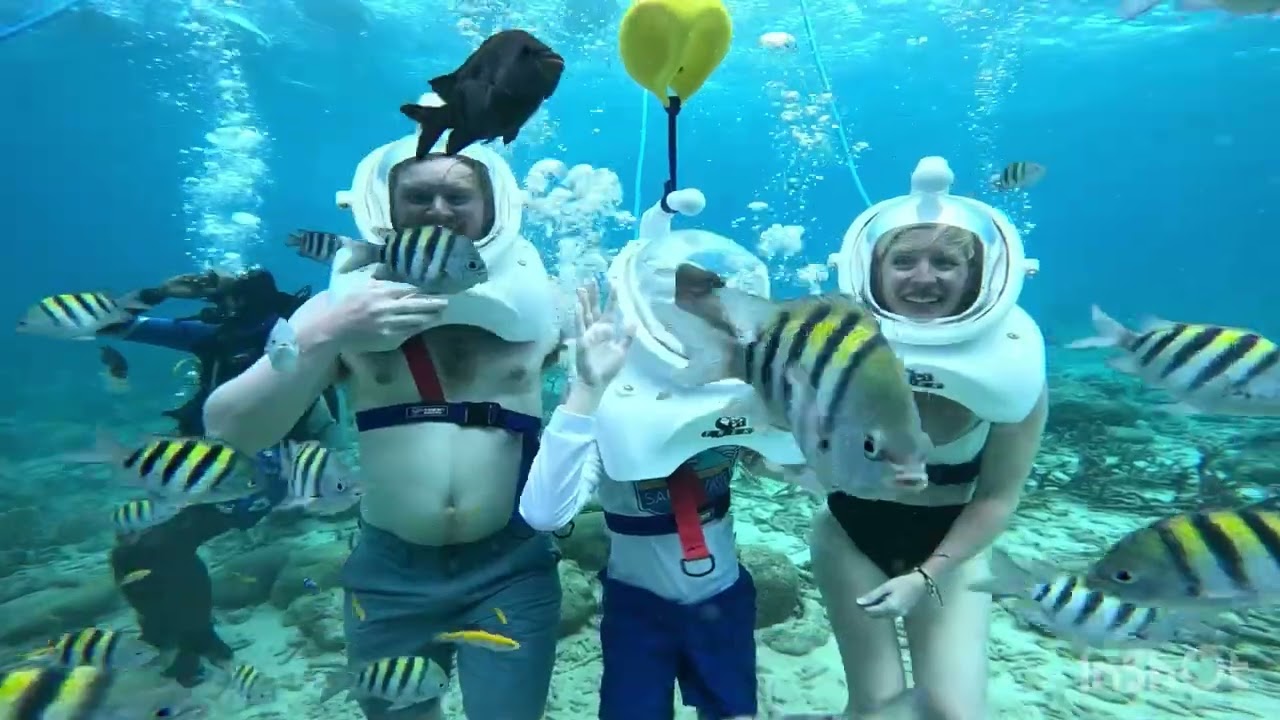 Unveiling the Ocean’s Secrets: Our Epic Sea Trek Journey in Curacao