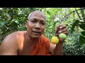ថ្ងៃនាំកូនចៅដើរបេះផ្លែគុយនៅព្រៃ សប្បាយចិត្តណាស់