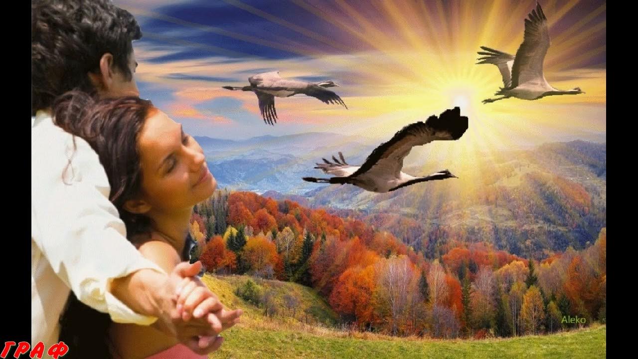 Журавль и человек. Лети как ветер лети как птица. Человек летит. Ангелы летают. Лети как ветер лети как птица.