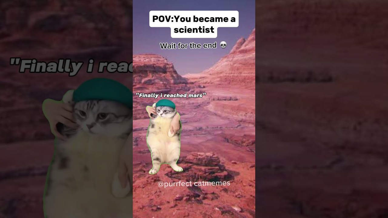 Catmemes 🐱 POV:You became a scientist 