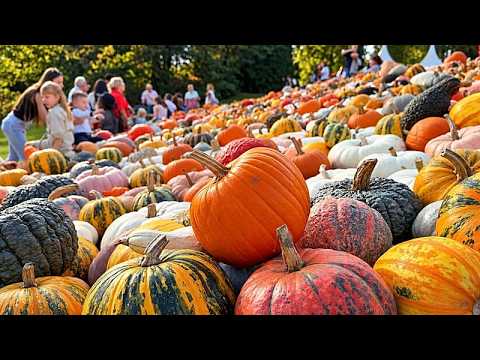 Bélgica: el festival Pumpkimania toma el castillo de Groot-Bijgaarden