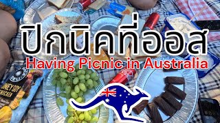 ปิกนิกที่ออส (Having a picnic at Observatory Hill) l Life is travel l (Eng Sub)