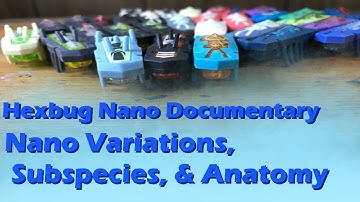 Studies on the Hexbug Nano | Part 2: Variations, Anatomy, and Nano Mortality!