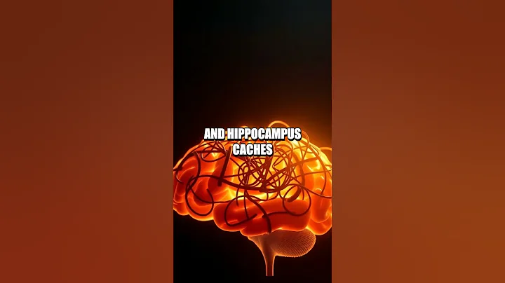 The Nighttime Architect: How Sleep Rebuilds the Mind