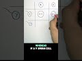 рџ XX XY Chromosomes Sex Inheritance Explained In 30 Seconds рџ GCSE Biology рџ XX XY Chromosomes Sex Inheritance Explained In 30 Seconds рџ GCSE Biology