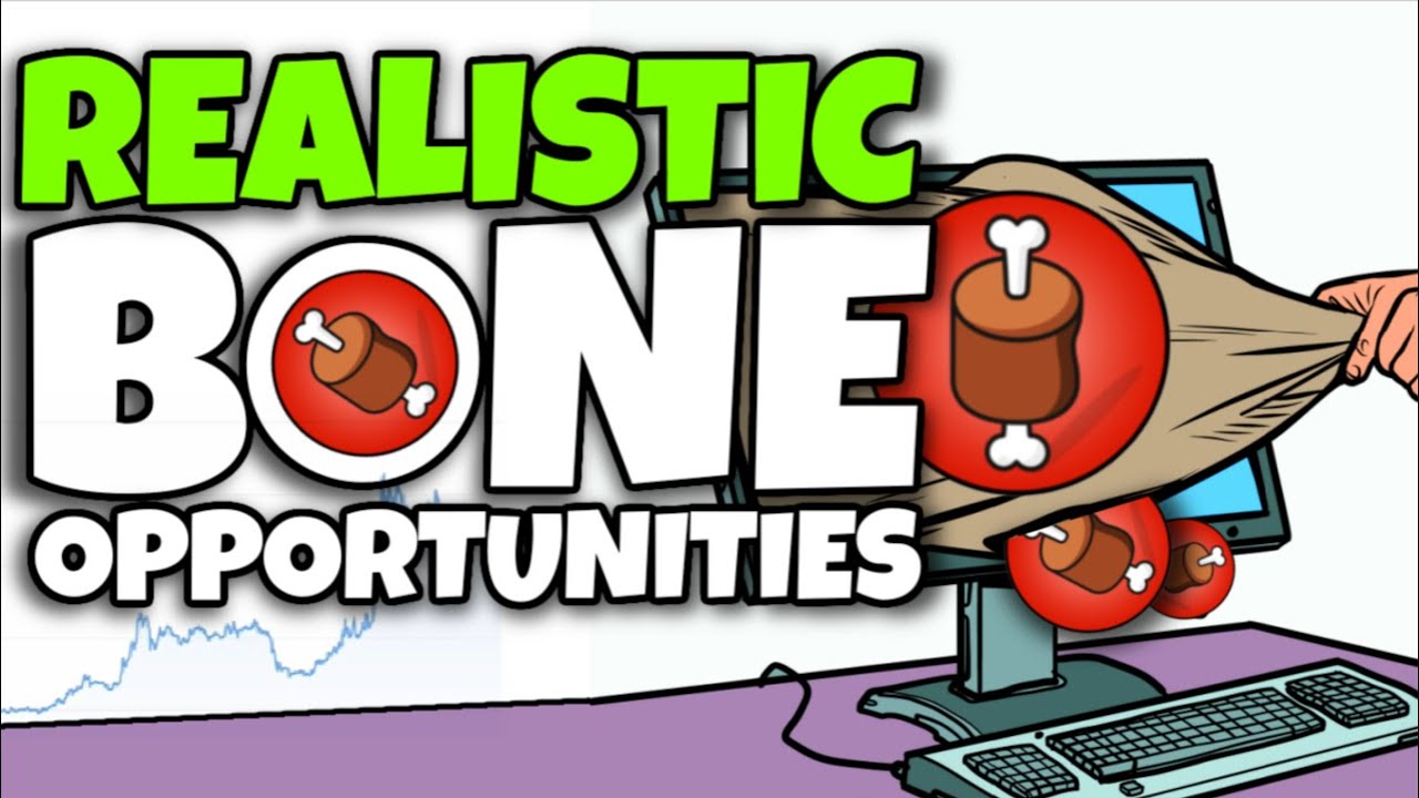 BONE TOKEN TIME IS VERY LIMITED YOU MIGHT NEVER SEE THE SAME PRICE (PRE-SHIBARIUM)