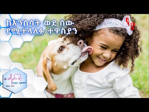 ቪዲዮ: ከቤት እንስሳት ወደ ሰዎች ሊተላለፉ የሚችሉ በሽታዎች - በቤት እንስሳት ውስጥ የዞኖቲክ በሽታዎች