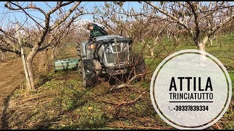 Attila TrinciaTutto- Extreme Trincialegna-Shredder - Broyeur - Trituradora-Trincia sarmenti
