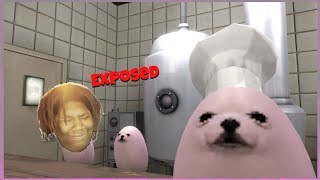 Eggdog: Exposed (Roasted)