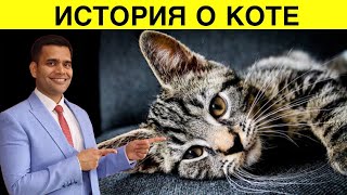 История О Котике И Нашем Здоровье