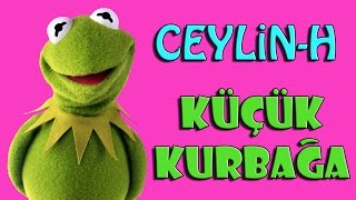 Video voorbeeld van "Ceylin-H | Küçük Kurbağa Çocuk Şarkısı (HD)"