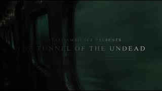 We are thirty minutes away from the tunnel of the undead | a zombie ambience experience