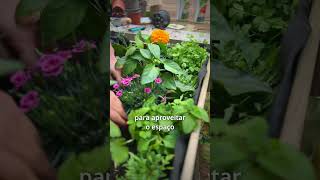 Hortas: Tudo o que precisa saber