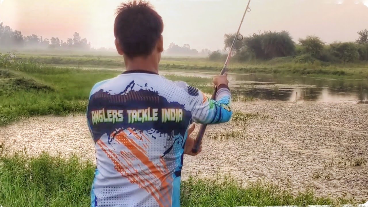 मरल फिश पकड़े  Murrel Fish Catching 🎣 With Frog Fish Technique  🐟
