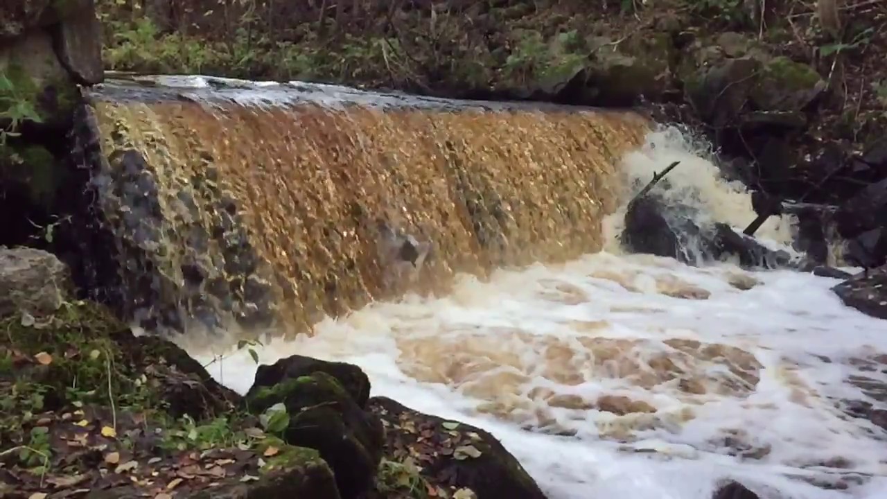 Öring i Hovslätt, Jönköping