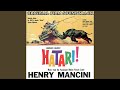 The Sounds Of Hatari 