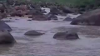 DJ IMBIT AGEUNG | REMIK SUNDA TERBARU FULL BASS 2022 ( DJ SUNDA )