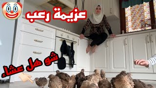 عزيمة رعب شو هل عشاء ام سيف