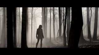 Teen Wolf: The Hunger Games Style