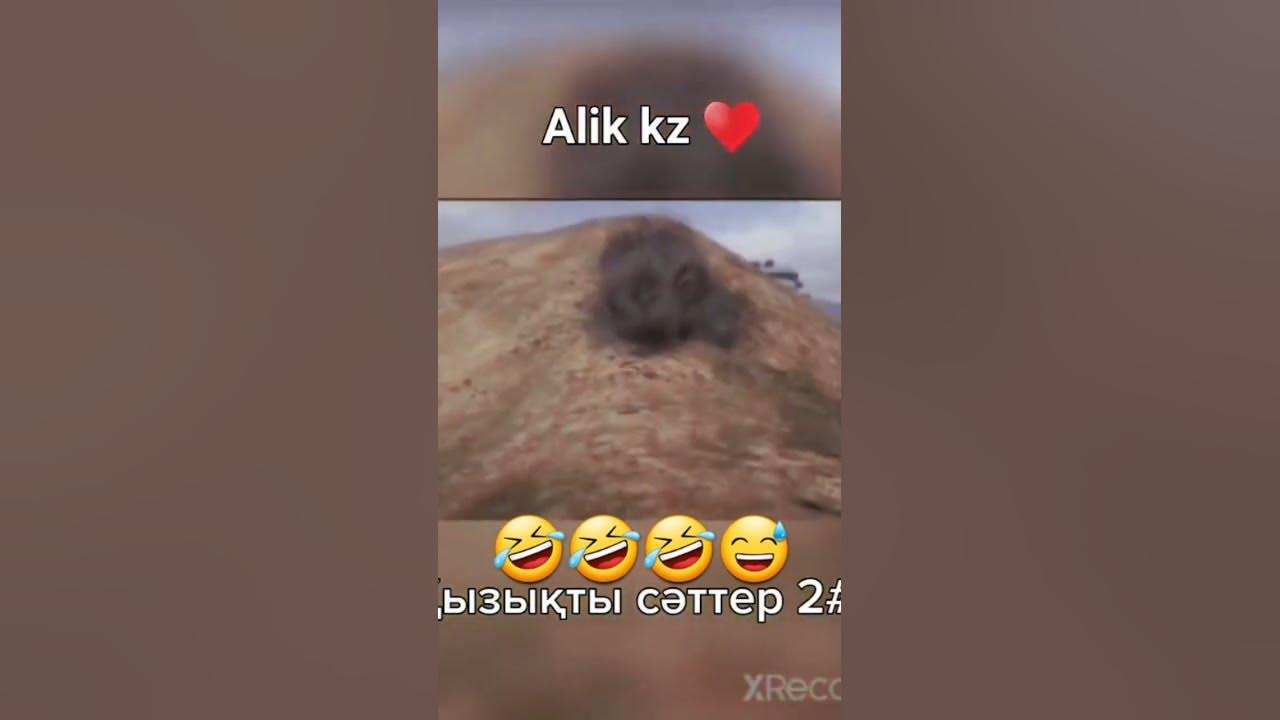 АЛИ КЗ🤣🤣😅 - YouTube