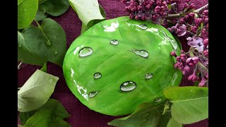 1000 - ABONNENTEN - SPEZIAL | Technik - WASSERTROPFEN auf Blatt | Steine bemalen mit MandaLa