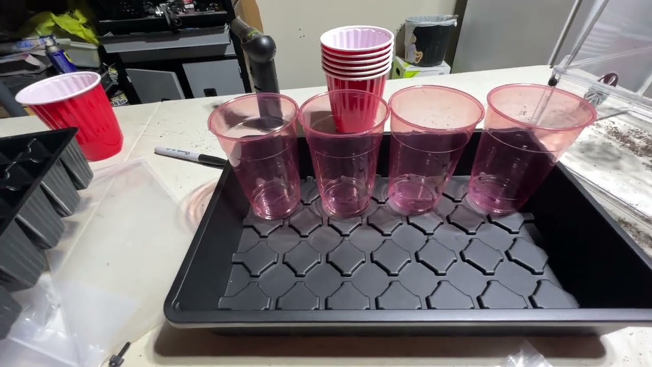 AC Infinity  HUMIDITY DOME, PROPAGATION KIT WITH HEIGHT EXTENSION, 5X8 CELL TRAY