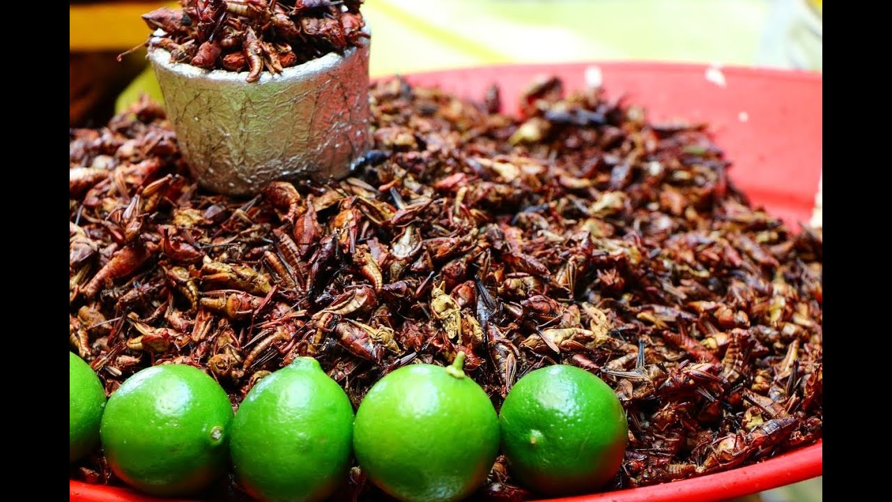Eating Bugs in Mexico City - YouTube