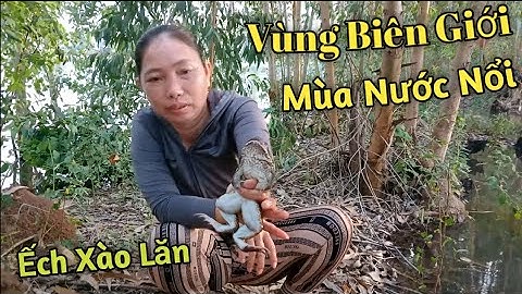 Cánh Đồng Vùng Biên Giới Mùa Nước Nổi, Cắm Câu Ếch, Ếch Xào Lăn/Hai Hồ TV